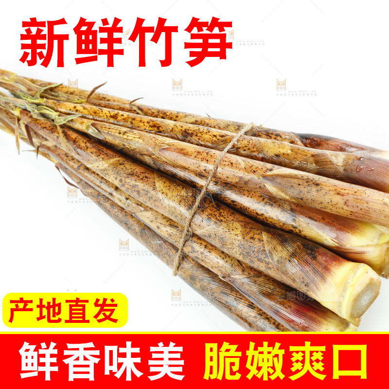 白底上绑着一捆竹笋
