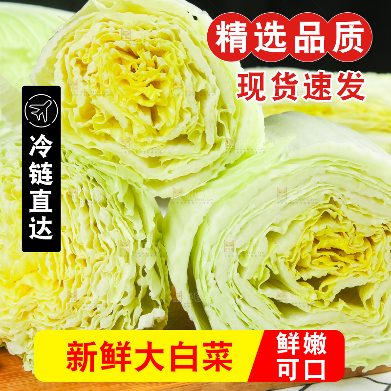 木底上放着大白菜
