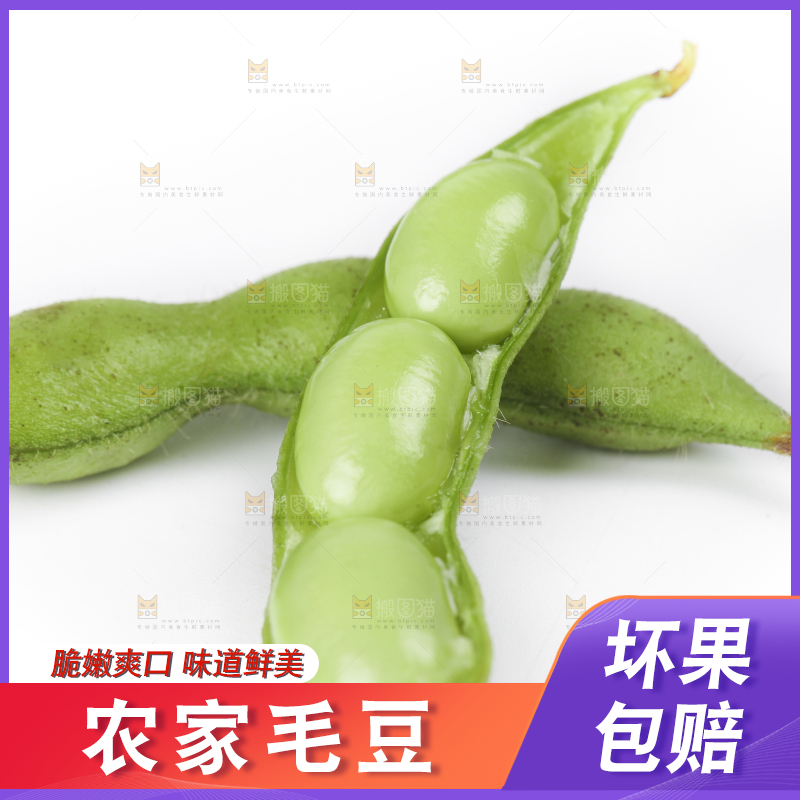 白底上放着四川新鲜毛豆