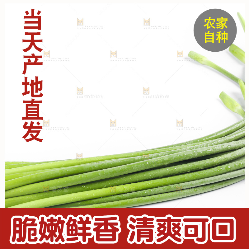 白底上放着蒜薹