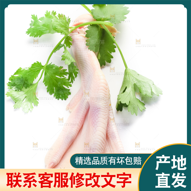 叶子上放着鸭脚
