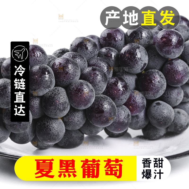 盘子里装着夏黑