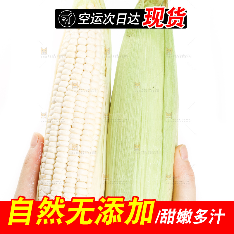 手里拿着白玉米