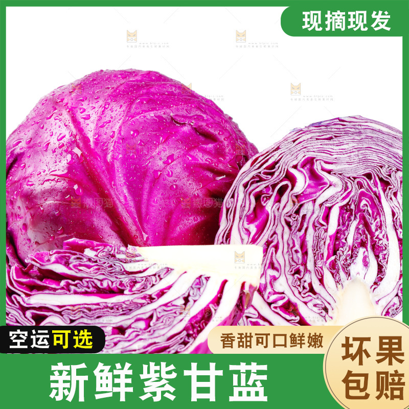 白底上放着新鲜紫甘蓝