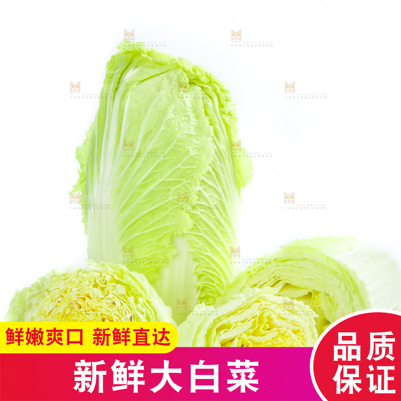 白底上放着大白菜