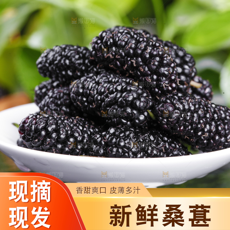 碟子里装着新鲜桑葚