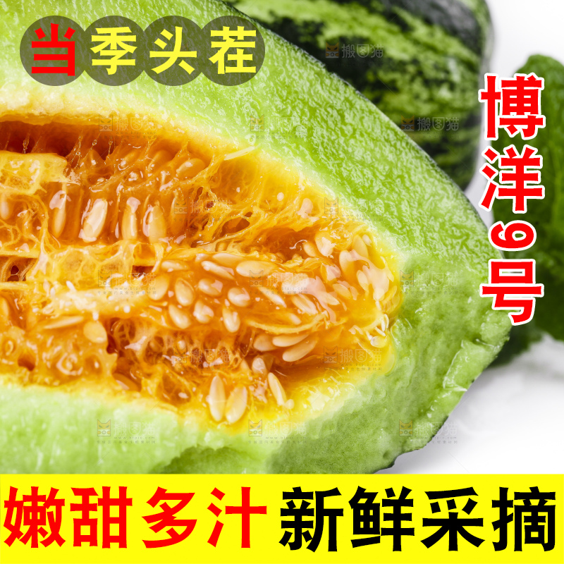 白底上放着博洋蜜脆甜瓜