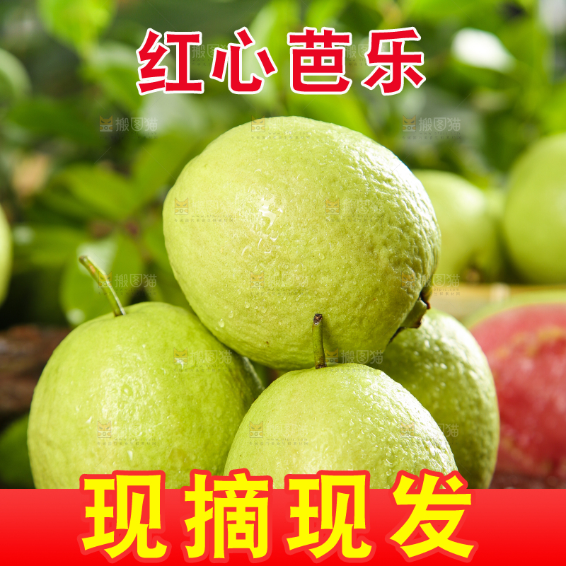 木底上摆放着番石榴