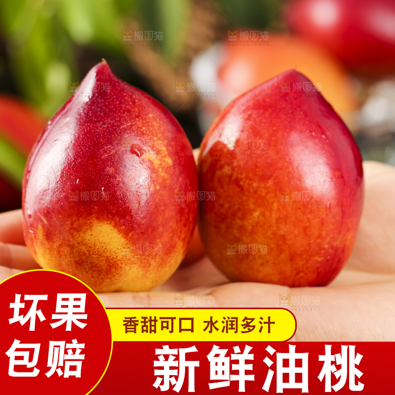 手里捧着大连油桃