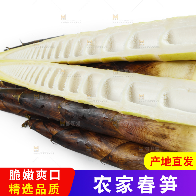 白底上放着一堆临安春笋