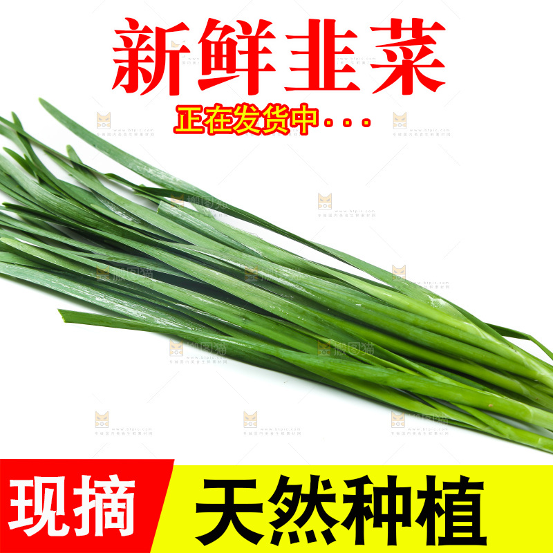 白底上的一把韭菜