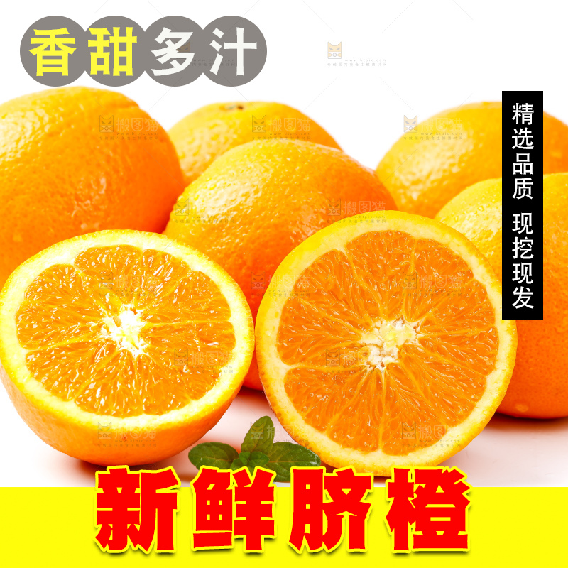 白底上放着赣南伦晚脐橙