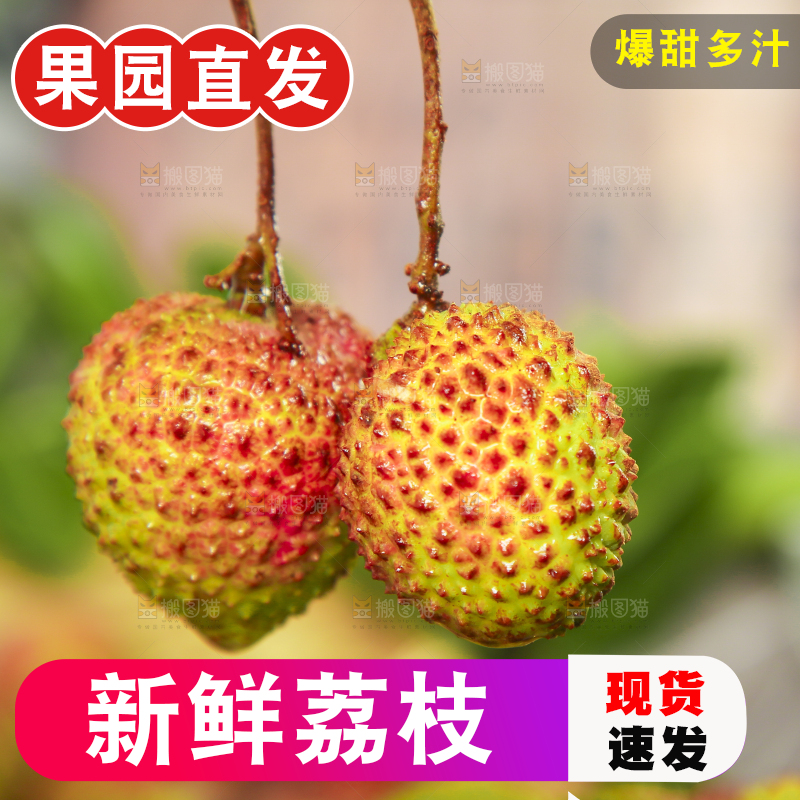 手里拿着妃子笑荔枝