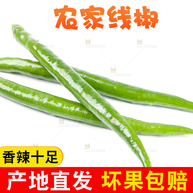 白底上放着线椒