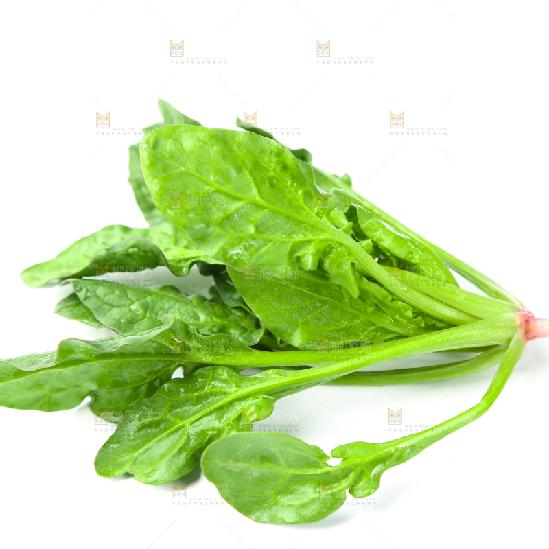白底上放着新鲜菠菜