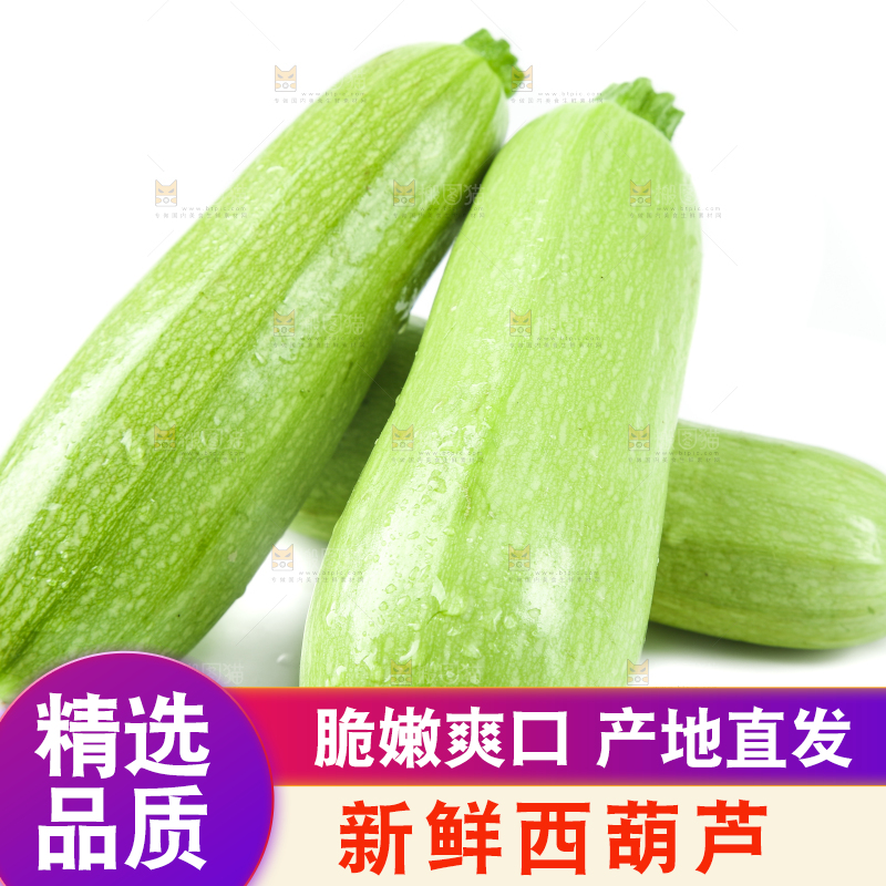 白底上摆放着茭瓜