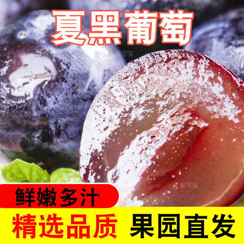白底上放着紫葡萄