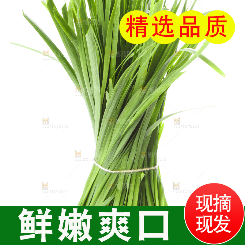 白底上放着一把嫩韭菜
