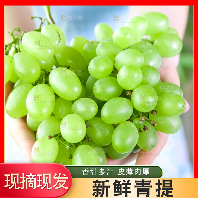 手里拿着澳洲无籽青提