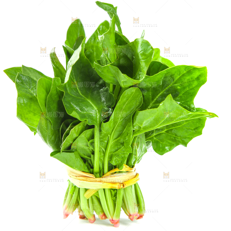 白底上放着新鲜菠菜