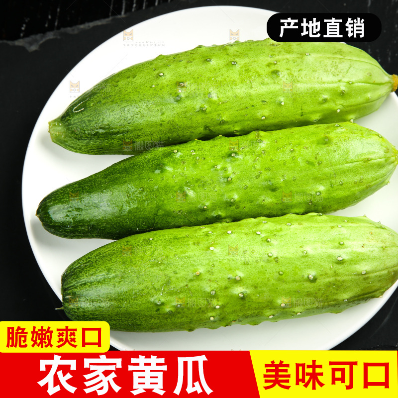 碟子里装着黄瓜