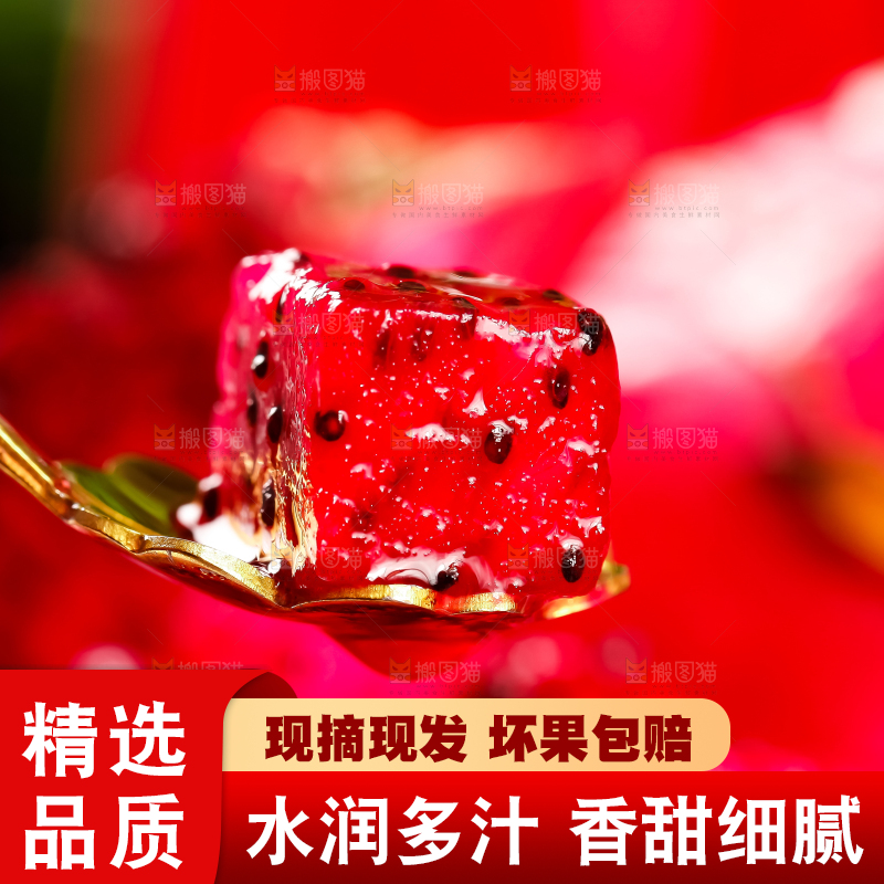 深底上的金都一号红心火龙果