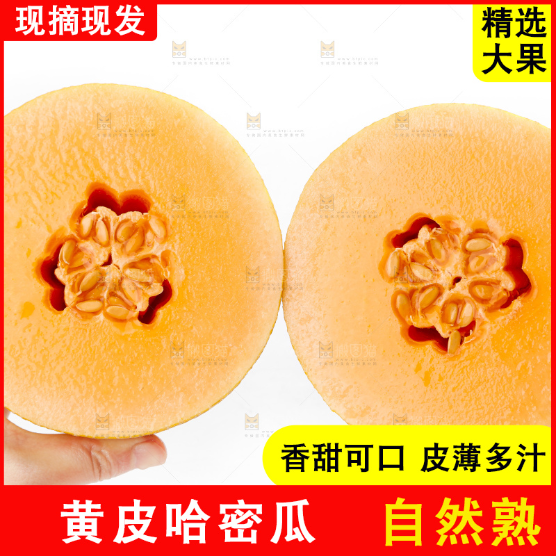 手里拿着新疆黄皮哈密瓜