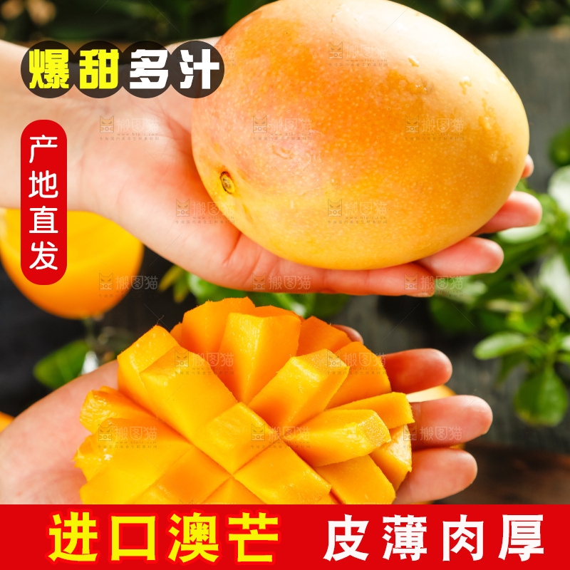 手里拿着新鲜澳芒