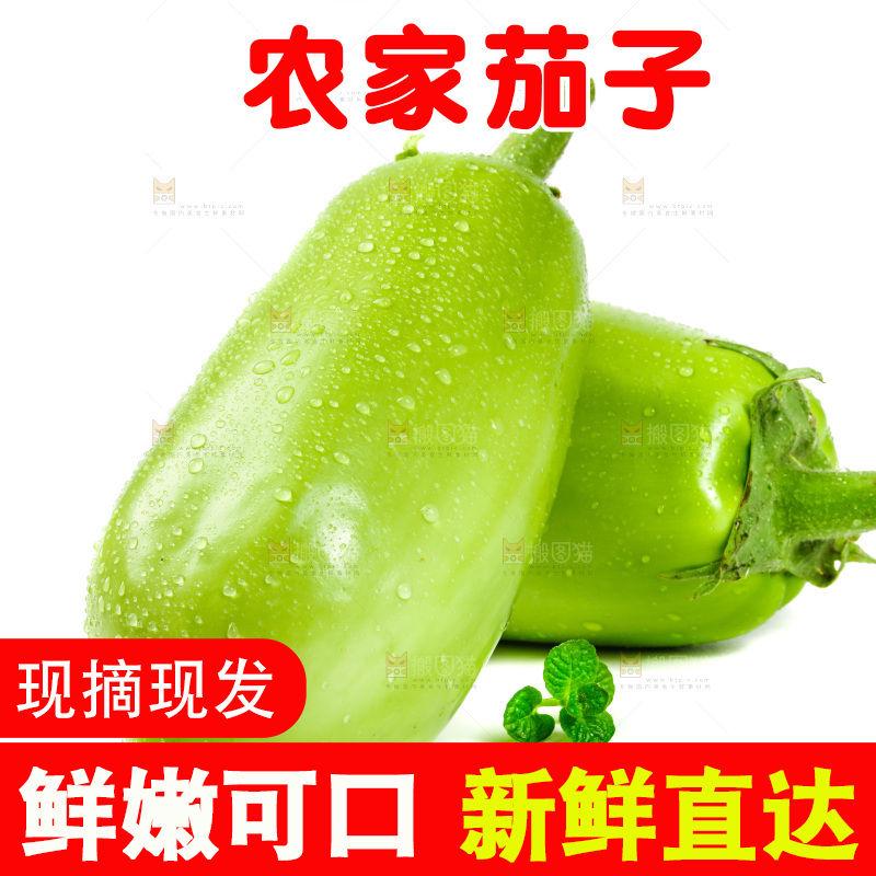 白底上放着青茄子