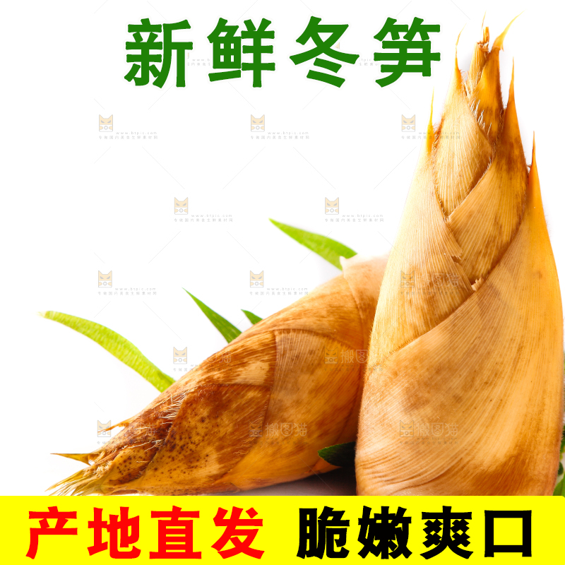 白底上摆放着冬笋
