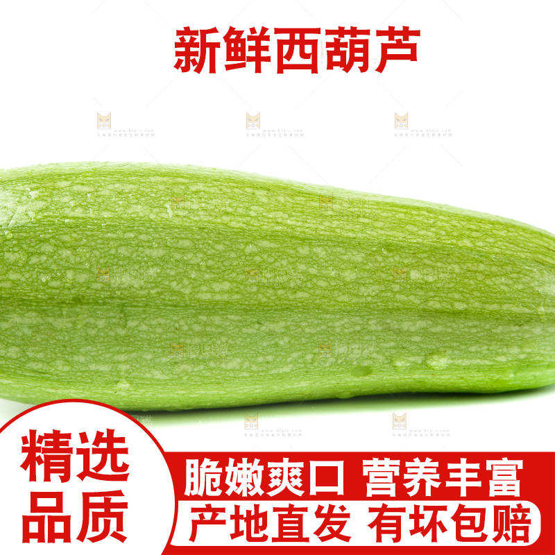 白底上摆放着茭瓜
