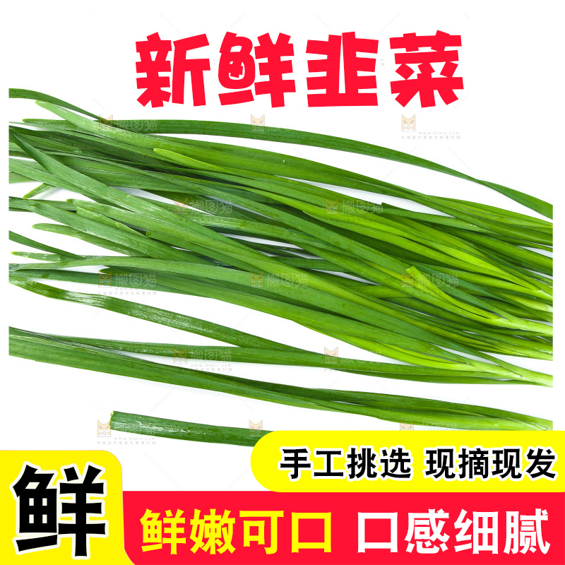 白底上的一把韭菜
