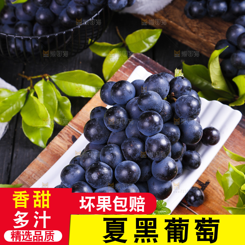 碟子里装着黑加仑