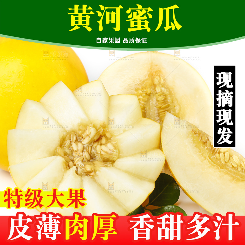 白底上放着切开的云南黄河蜜瓜