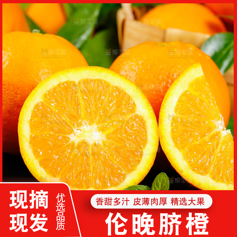 黑底上放着伦晚甜橙