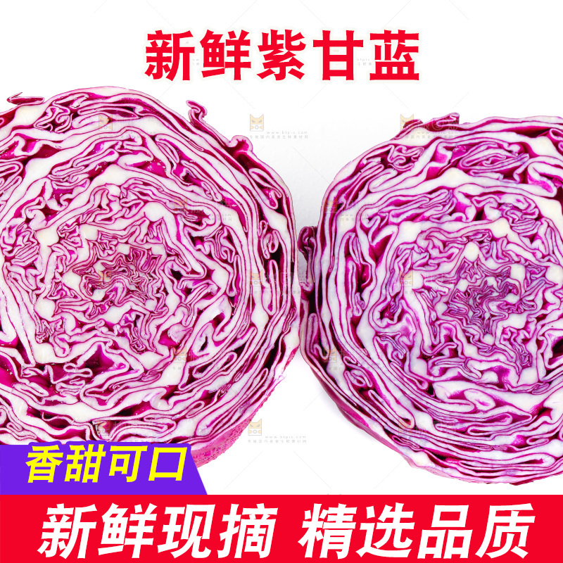 白底上放着甘蓝