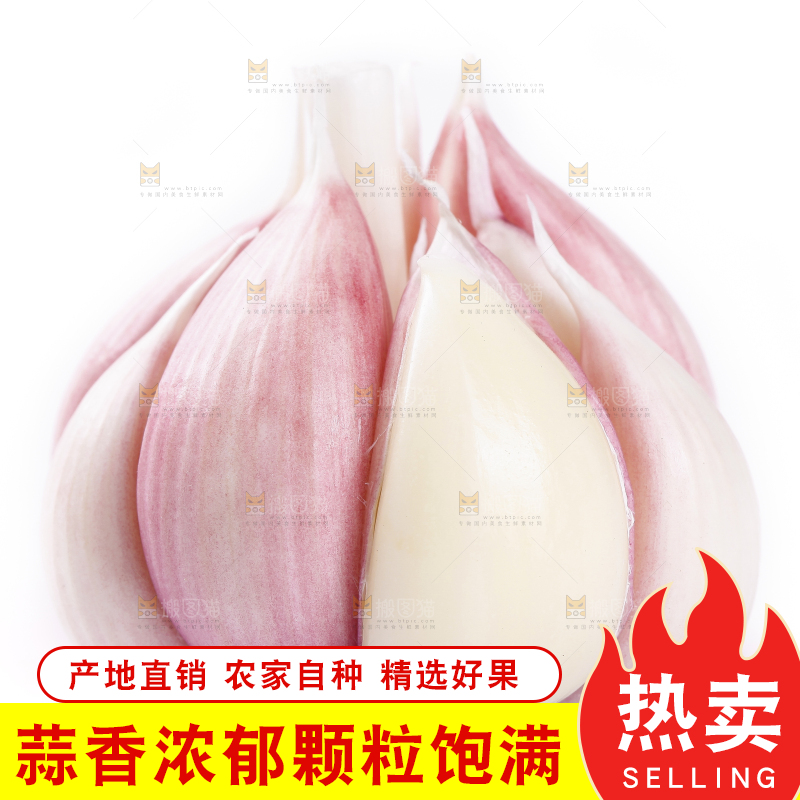 白底上放着新鲜紫皮大蒜头
