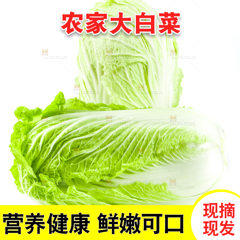 白底上的有机大白菜