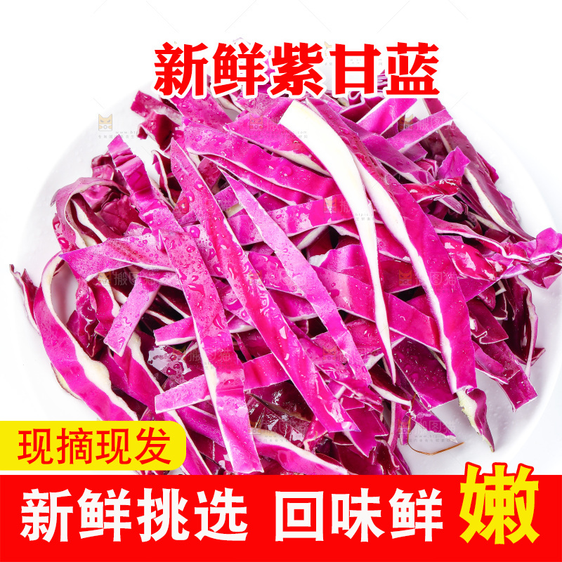 白底上放着新鲜紫甘蓝