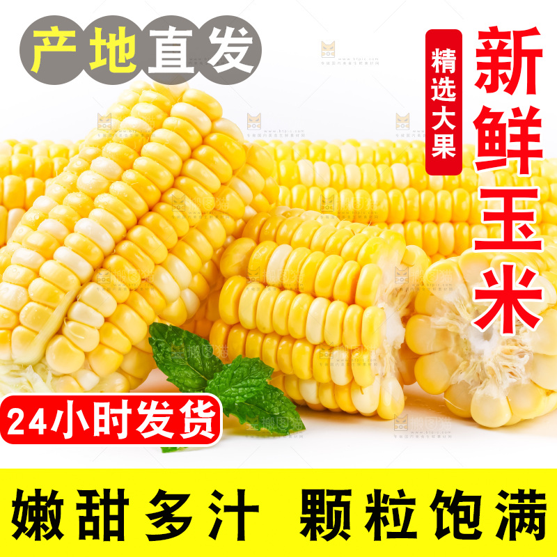 白底上摆放着玉米