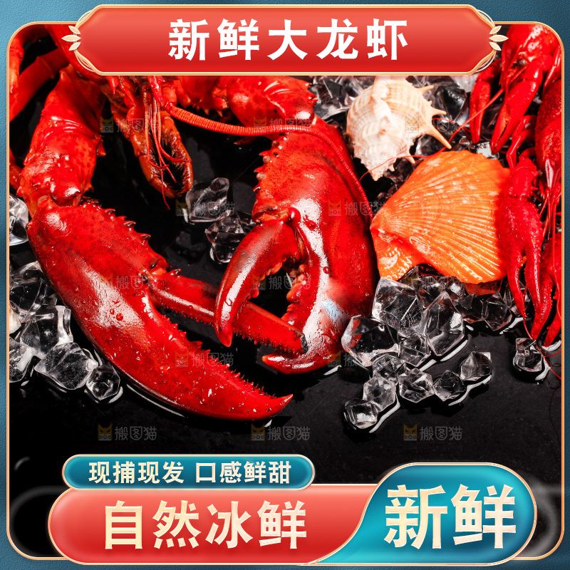 黑底上的大龙虾