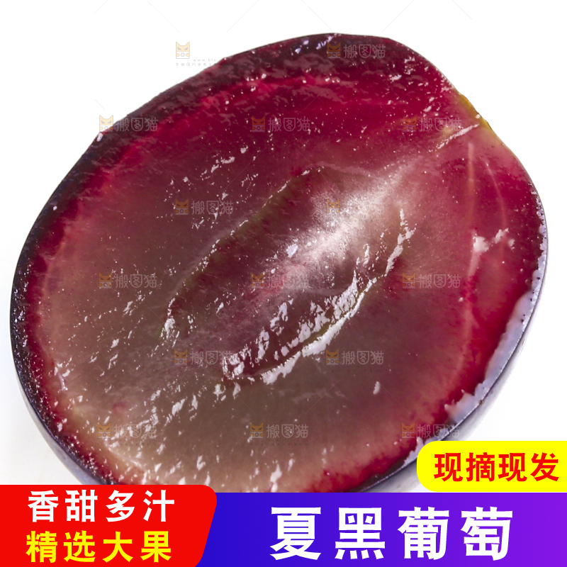 新鲜夏黑葡萄放在白底上