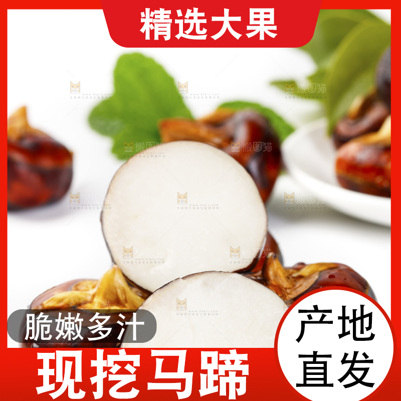 浅底上的红马蹄
