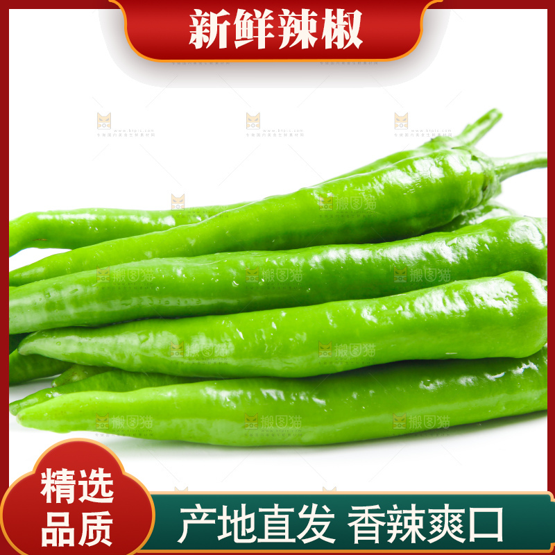 白底上摆放着新鲜杭椒