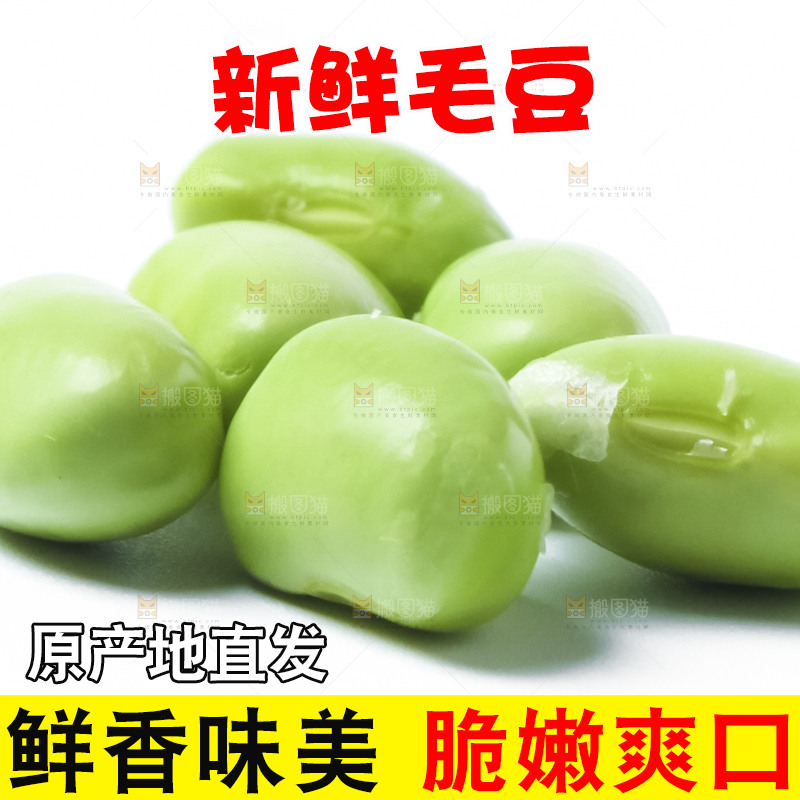 白底上的毛豆
