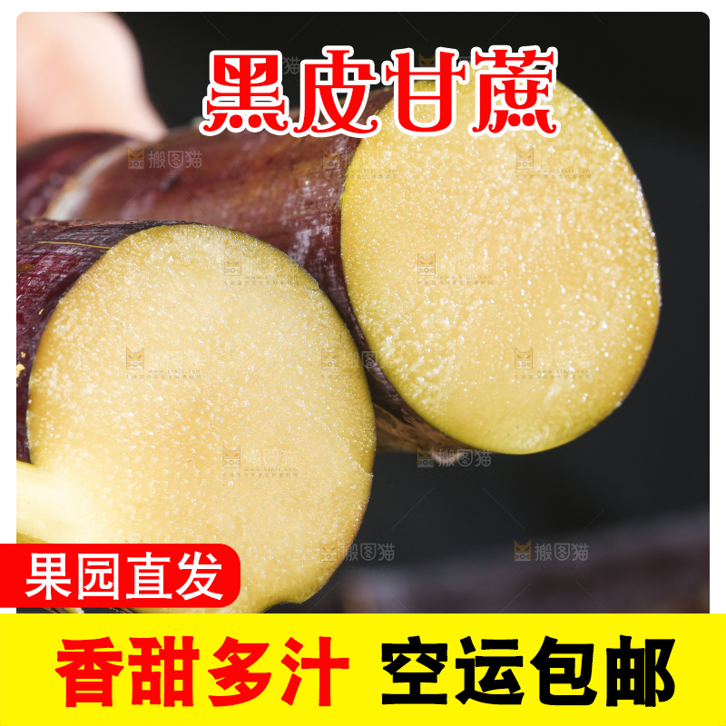 手里拿着广西黑皮甘蔗