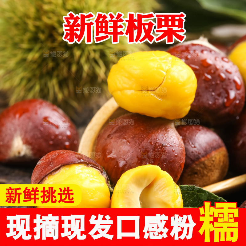 深底上的迁西板栗