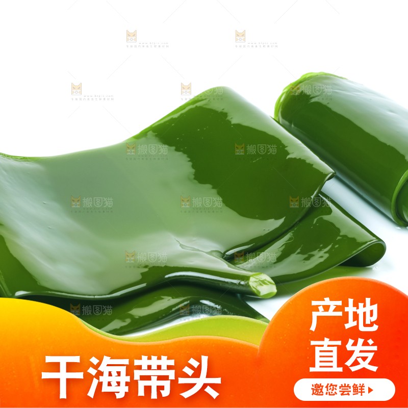 白底上摆放着海带头