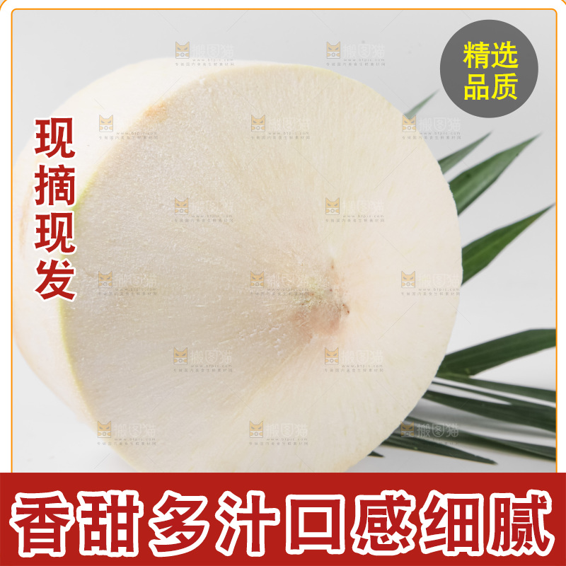 白底上放着青椰子