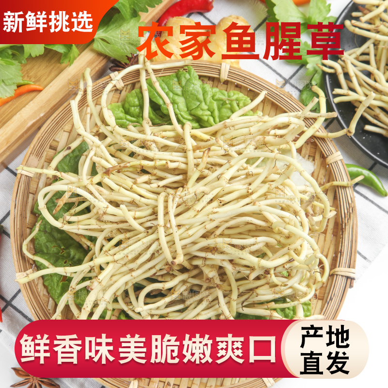 篮子里装着鱼腥草